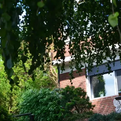 Die Eiche