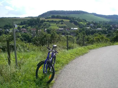 Radfahren an der Unterkunft Pension Rose oder in der Nähe