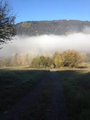 Naturlandschaft in der Nähe der Pension