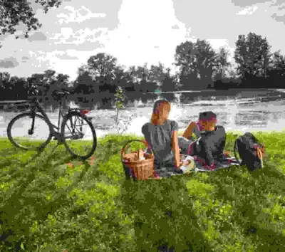 Gäste, die in der Unterkunft Ferienwohnung Rheinzabern übernachten