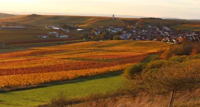 Naturlandschaft in der Nähe der Ferienwohnung