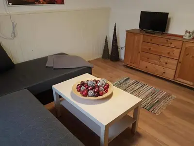 TV/Unterhaltungsangebot in der Unterkunft Weschnitzstubb