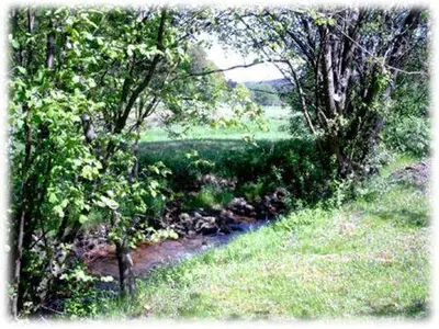 Naturlandschaft in der Nähe des Hotels