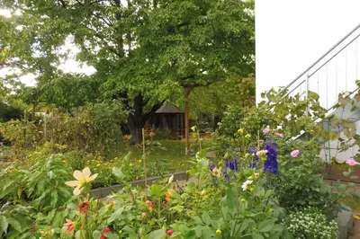 Ein Garten an der Unterkunft Apartement am Kirschbaum