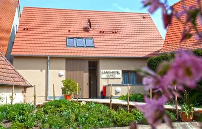 Ein Garten an der Unterkunft Landhotel Lutz UG