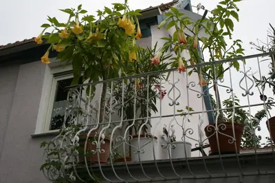 Das Gebäude in dem sich die Ferienwohnung befindet