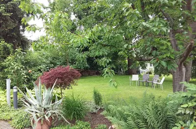 Ein Garten an der Unterkunft Hotel & Restaurant Krone
