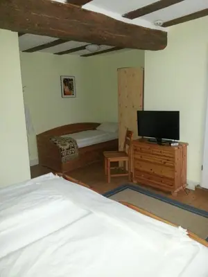 TV/Unterhaltungsangebot in der Unterkunft Hotel Blaues Haus
