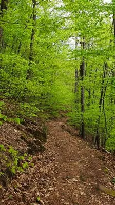 Naturlandschaft in der Nähe des Ferienhauses