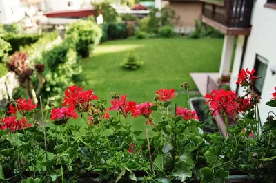 Ein Garten an der Unterkunft Ferienhaus Moser