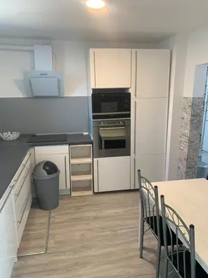 Küche/Küchenzeile in der Unterkunft Joanna Apartment - Weinheim