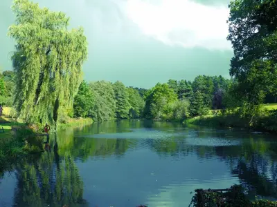 Naturlandschaft in der Nähe der Ferienwohnung