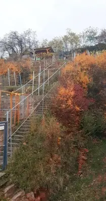 Grundriss der Unterkunft WEINBERG 16