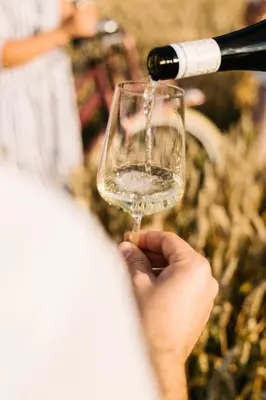 Getränke in der Unterkunft Weinzuhause Hotel-Restaurant-Vinothek