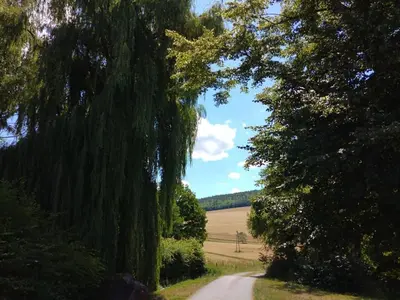Naturlandschaft in der Nähe der Ferienwohnung