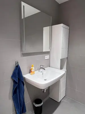 Ein Badezimmer in der Unterkunft Forststrasse Apartment