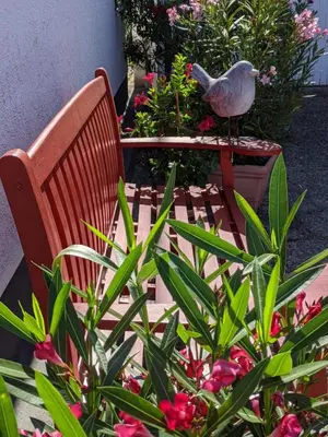 Ein Garten an der Unterkunft Hortensie Speyer
