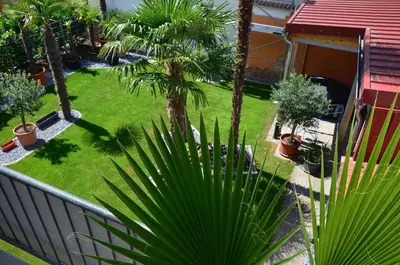 Ein Garten an der Unterkunft PalmGarden