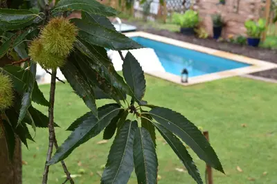 Der Swimmingpool an oder in der Nähe von Annettes Pfalz