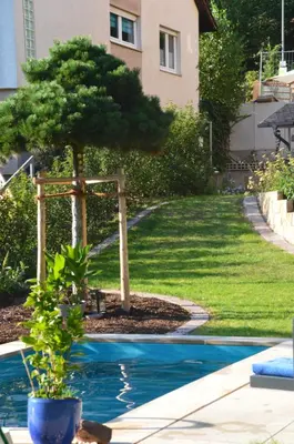 Ein Garten an der Unterkunft Annettes Pfalz
