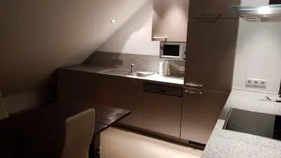 Küche/Küchenzeile in der Unterkunft Joanna Apartment - MA Rheinau 5