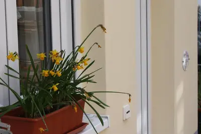 Grundriss der Unterkunft Ferienwohnung Familie Westermann