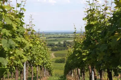 Naturlandschaft in der Nähe des Ferienhauses
