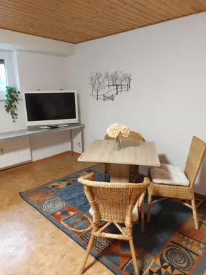 TV/Unterhaltungsangebot in der Unterkunft Ferienwohnung Juco