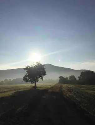 Naturlandschaft in der Nähe der Ferienwohnung