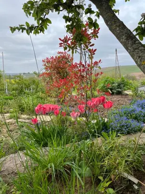 Ein Garten an der Unterkunft The view - Helfenberg