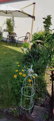 Ein Garten an der Unterkunft Tinyloft