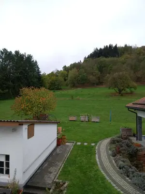 Ein Garten an der Unterkunft Ferienwohnung Zum Bienenstock