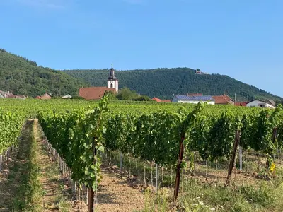 Naturlandschaft in der Nähe der Ferienwohnung