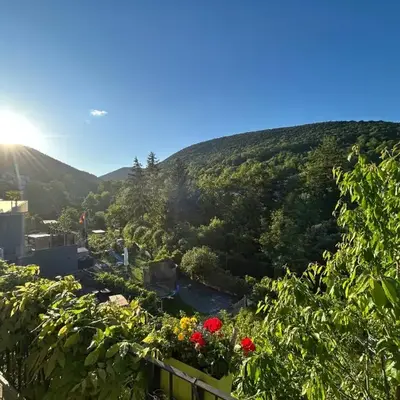 Pfälzer Traumblick