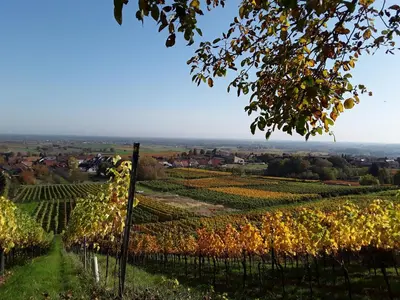 Naturlandschaft in der Nähe der Ferienwohnung