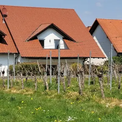 Ferienhaus Vongerichten