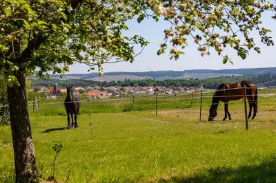 Gäste, die in der Unterkunft Pferdehof Bischof übernachten