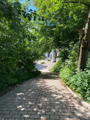 Naturlandschaft in der Nähe der Ferienwohnung