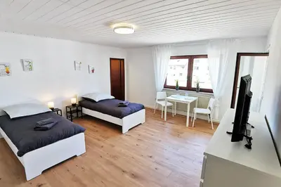 TV/Unterhaltungsangebot in der Unterkunft FR13 - Modernes 1-Zimmer-Apartment mit Balkon in Rodgau