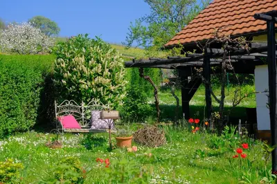 Ein Garten an der Unterkunft Ferienweingut Wissing Wohnung Theo