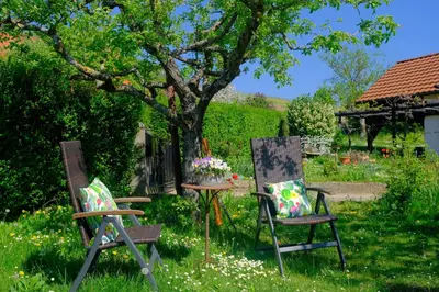 Ein Garten an der Unterkunft Ferienweingut Wissing Wohnung Theo