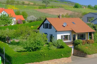Ein Garten an der Unterkunft Ferienweingut Wissing Wohnung Frieda