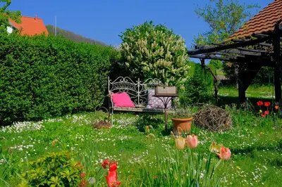 Ein Garten an der Unterkunft Ferienweingut Wissing Wohnung Frieda