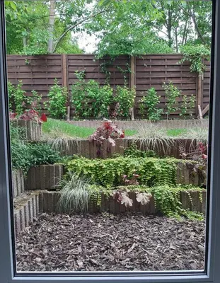 Ein Garten an der Unterkunft Ferienwohnung im schönen Zellertal