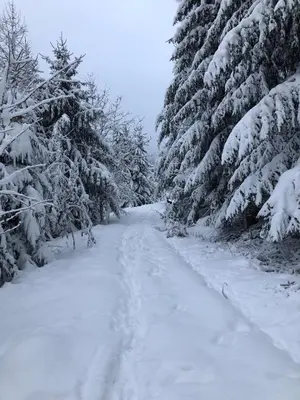 Ferienwohnung 4 Burg Freienstein Blick im Winter