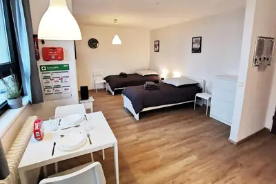Ein Bett oder Betten in einem Zimmer der Unterkunft DA01 - Gemütliches 1-Zimmer-Apartment mit Balkon in Darmstadt