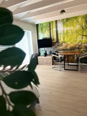 TV/Unterhaltungsangebot in der Unterkunft Modernes Loft auf 2 Etagen, Nähe Tripsdrill & Neckar, Balkon inklusive, ideal für Familien