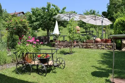 Ein Garten an der Unterkunft FEWO Odenwald - Anna