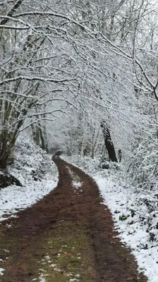 Neue Dachwohnung im Herzen von Gönnheim im Winter