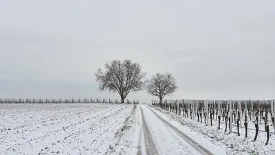 Neue Dachwohnung im Herzen von Gönnheim im Winter